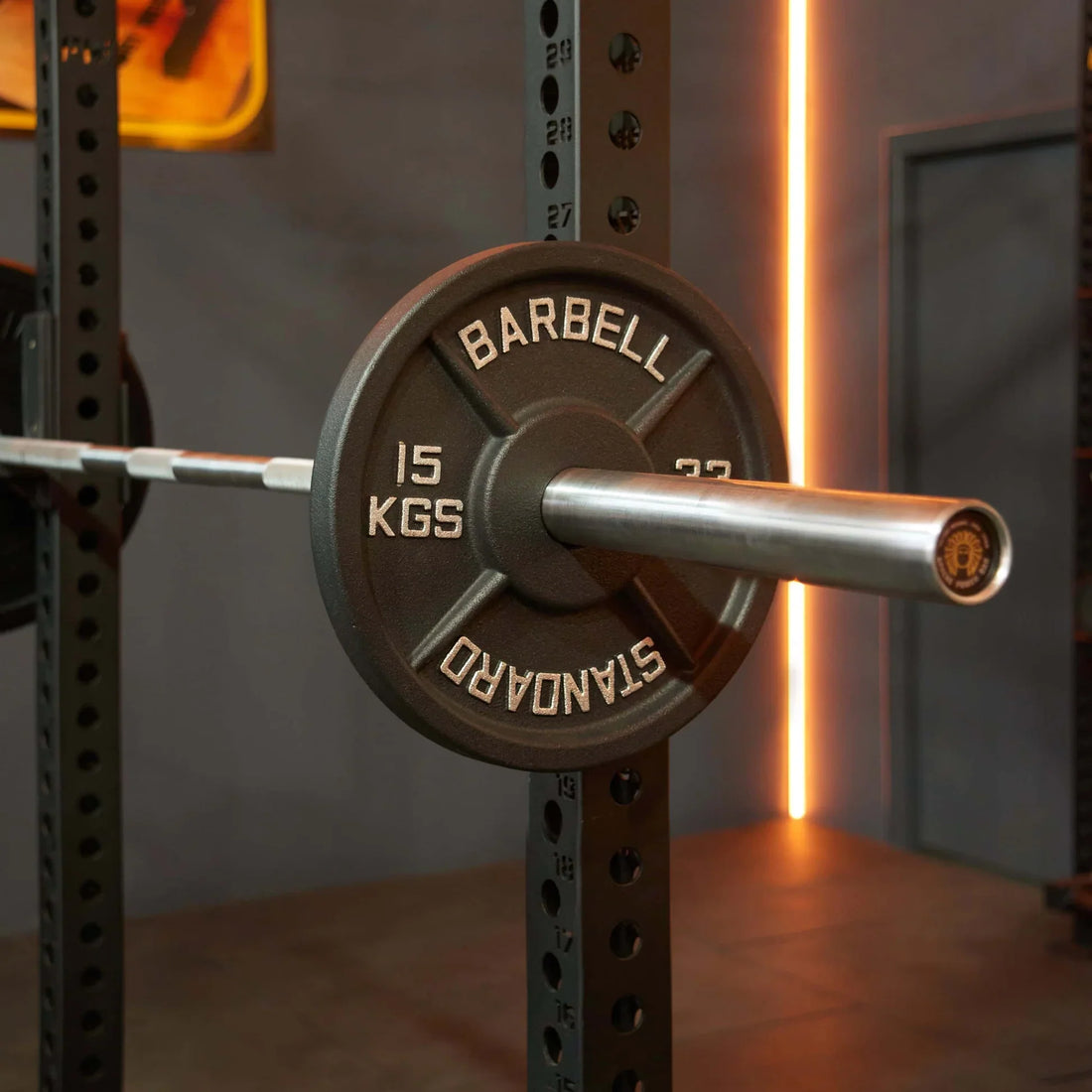 Should I Get Bumper Plates or Iron Plates? The Ultimate Guide for Your Home Gym