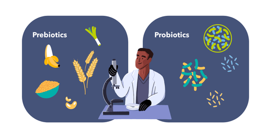 Are Probiotics and Prebiotics Good for You? A Deep Dive into Gut Health