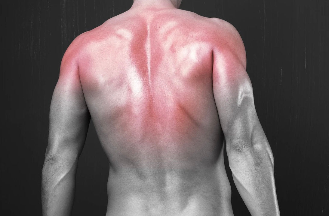 The 48-Hour Ache: Why Do My Muscles Feel Sore Two Days After Training?