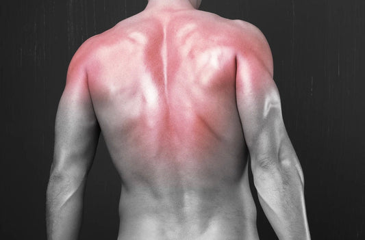 The 48-Hour Ache: Why Do My Muscles Feel Sore Two Days After Training?