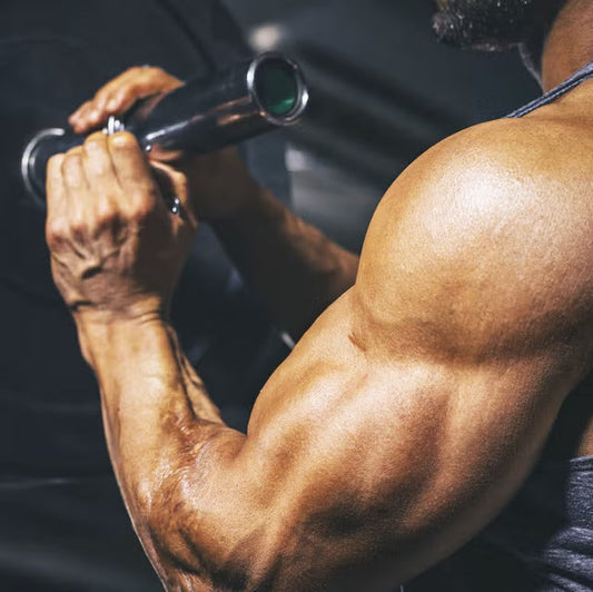 How Do I Build Muscle and Get Bigger Arms? The Essential Guide