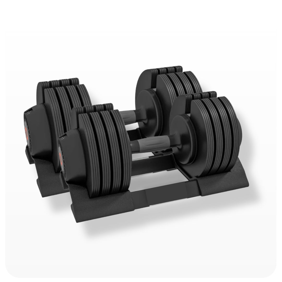 Gym dambal all set price 2025