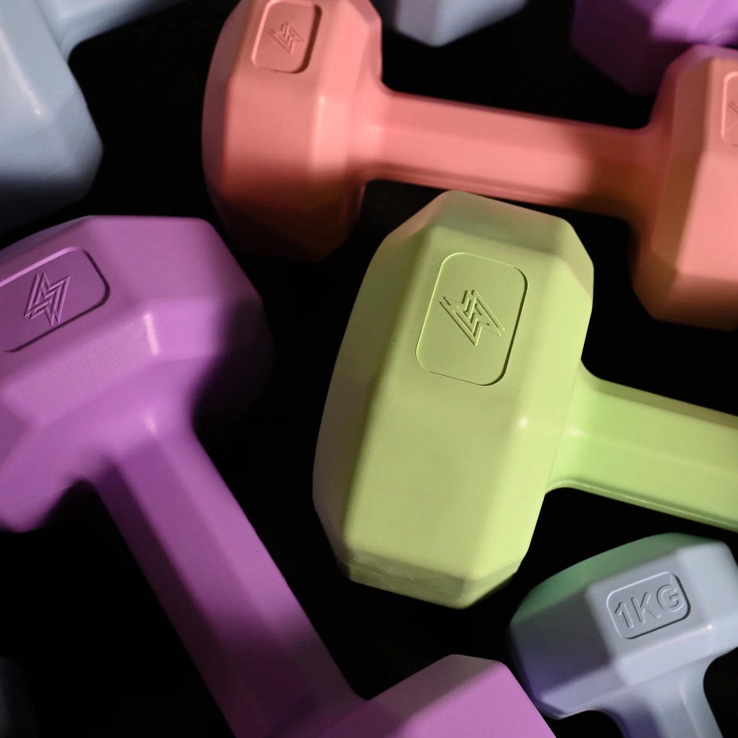 GymSets Vinyl Weight Package