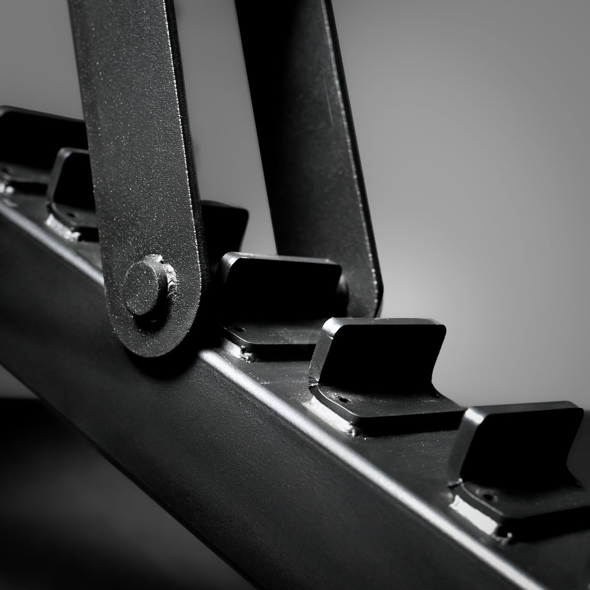 GymSets Commercial Curved Weight Bench