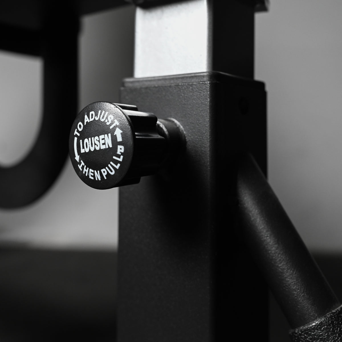 GymSets Commercial Curved Weight Bench