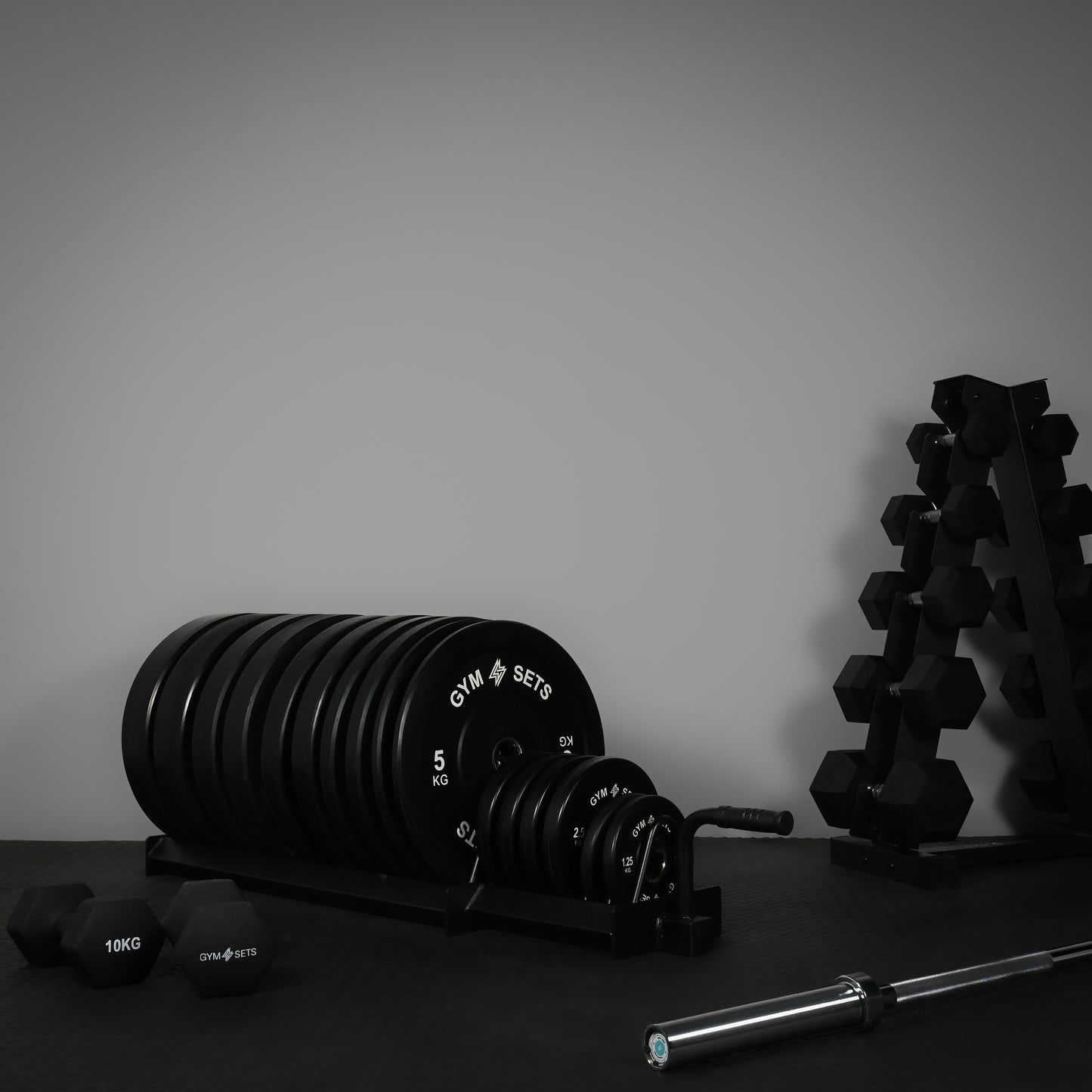 GymSets Extended Weight Plate Storage Rack