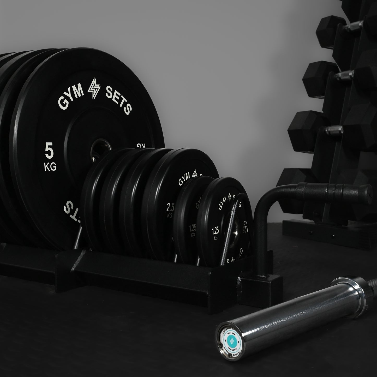 GymSets Extended Weight Plate Storage Rack