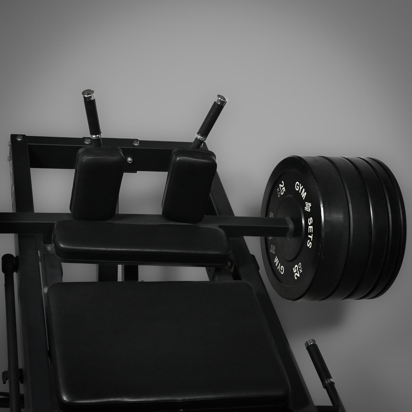 Commercial Leg Press & Hack Squat Machine