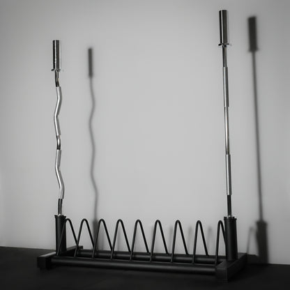 GymSets Standard Weight Plate Storage Rack