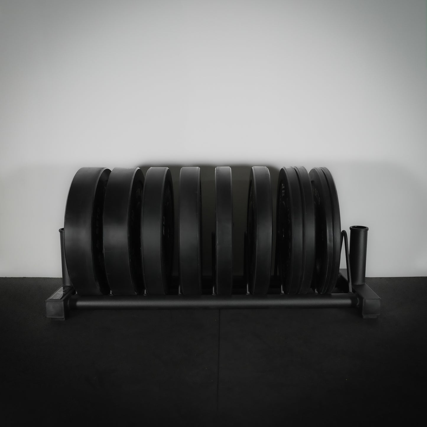 GymSets Standard Weight Plate Storage Rack