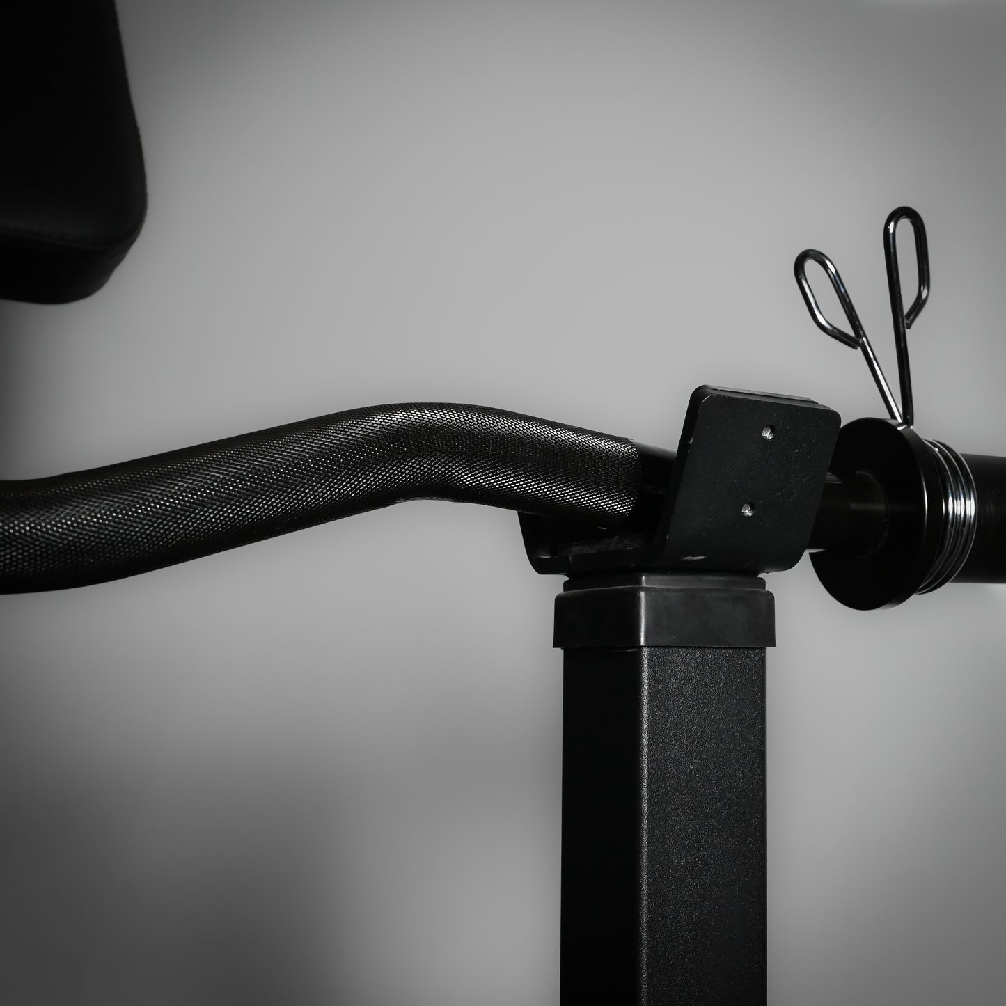 Adjustable Preacher Curl Bench