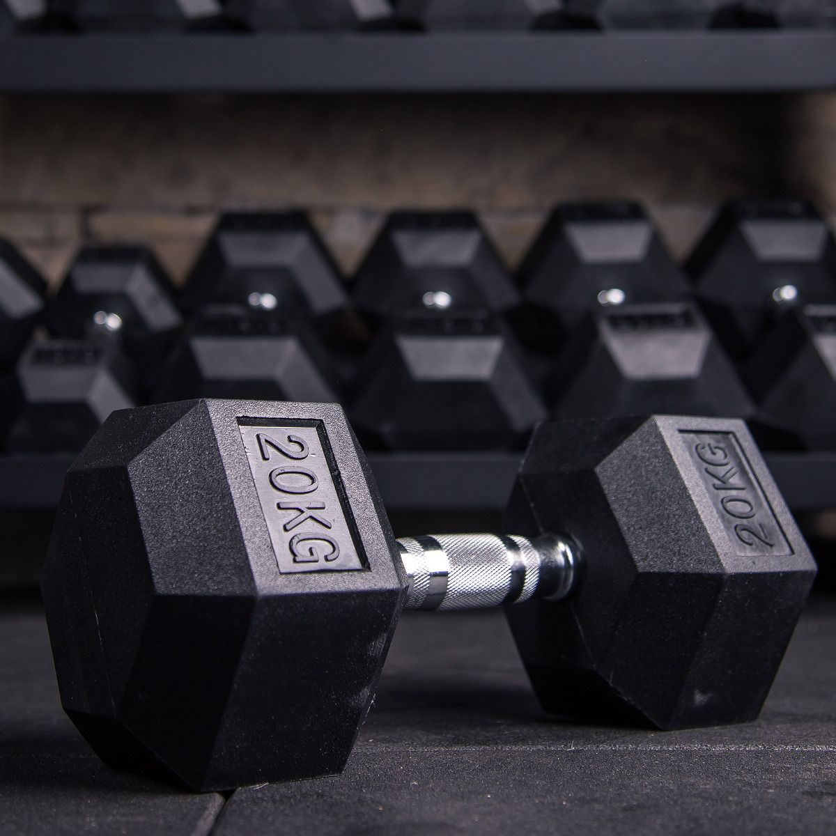 2 Tier Dumbbell Storage Rack 2.5kg - 20kg Dumbbell Weight Set Home Gym
