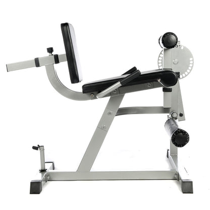 Leg Extension & Curl Machine