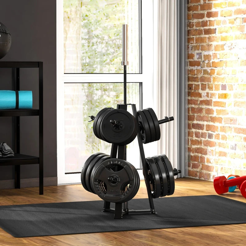 Weight Plates Storage Rack