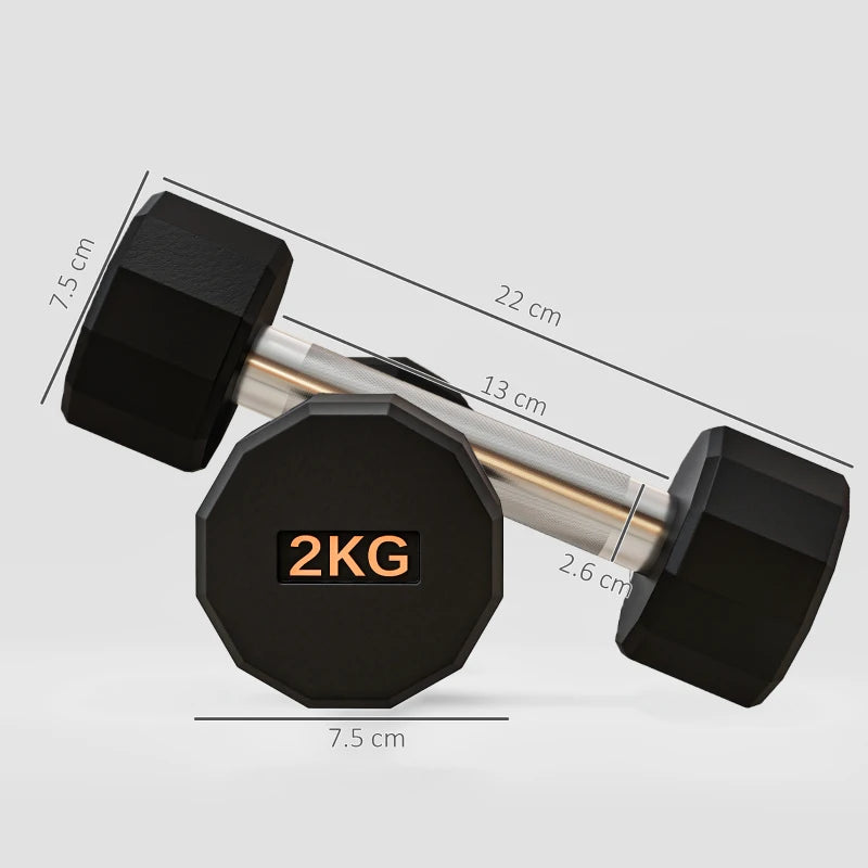 Round Dumbbells Set 2kg-10kg Pair Weights Rubber Encased Gym Men Women