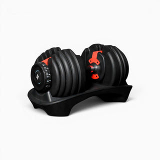1x 24kg (Single) Dumbbell