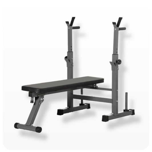 Flat Bench With Dip Station & Rack