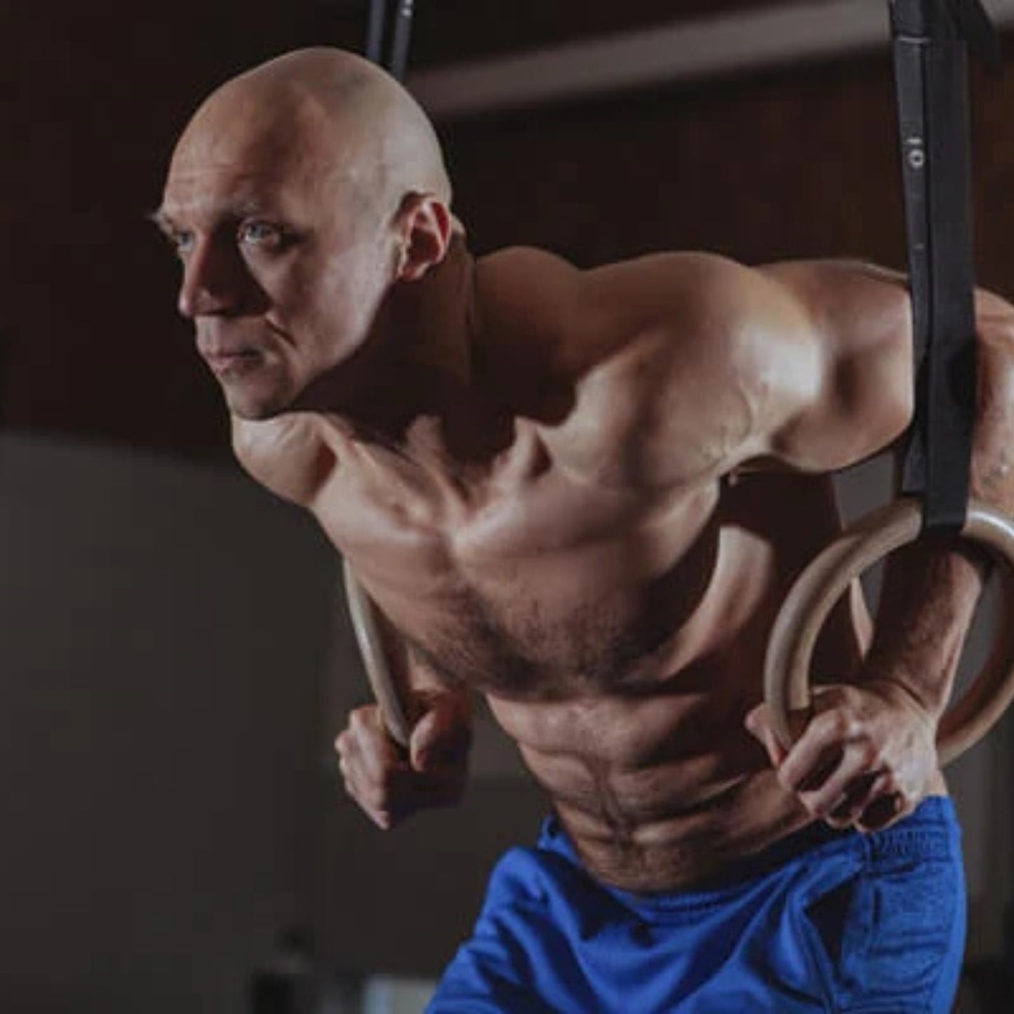 GymSets Pull Up Rings