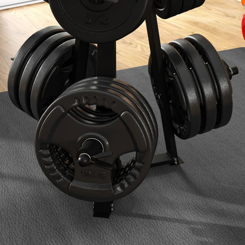 Weight Plates Storage Rack