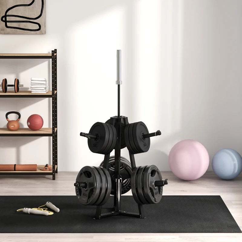 Weight Plates Storage Rack